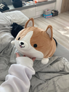 Cute Corgi Doggo Cushion | Corgi Plush Toy | Puppy Plush Dog Cushion - TrendyLush
