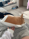 Cute Corgi Doggo Cushion | Corgi Plush Toy | Puppy Plush Dog Cushion - TrendyLush